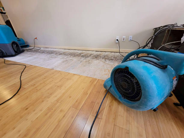 Professional Structural Drying technician working in Lomira, WI